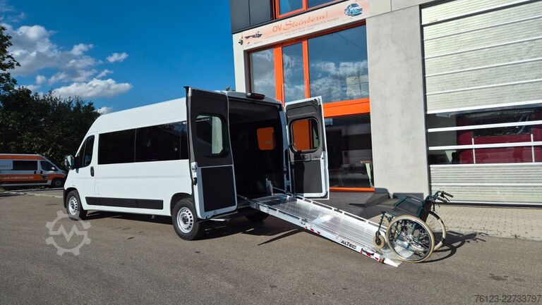Kleinbus Opel Movao Fiat Ducato Systemboden Rolli / Dreh.