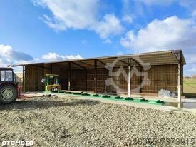 Scierie à ruban Crisswood SAM MK 2006