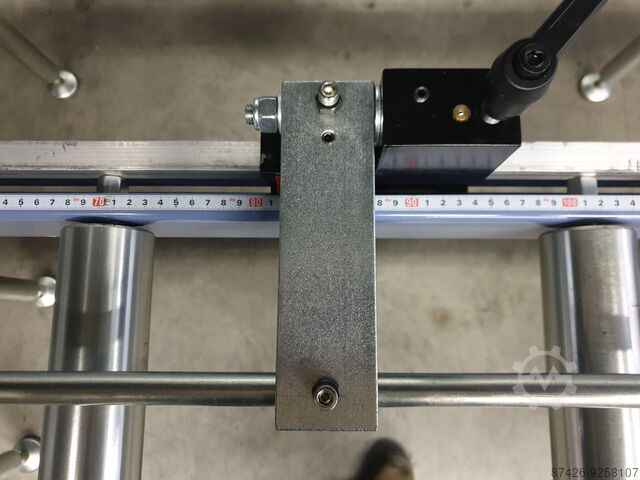 Convoyeur à rouleaux Rogi RS3000