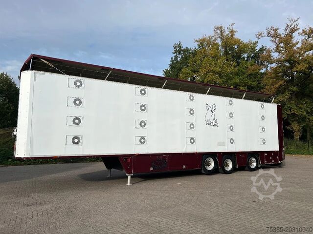 Transporte de gado CUPPERS Livestock 1/2/3/4 Type 2