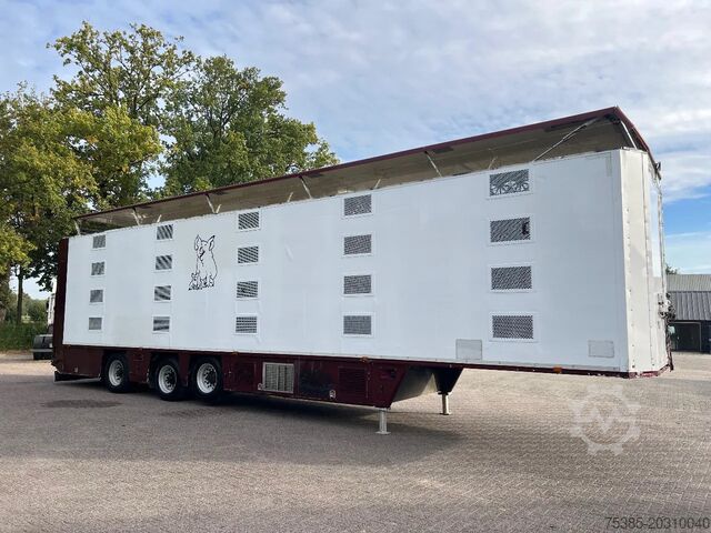 Cattle transport CUPPERS Livestock 1/2/3/4 Type 2