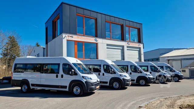 Minibus FIAT 1x Ducato 1x  Opel Movano 18 SS  in Stock