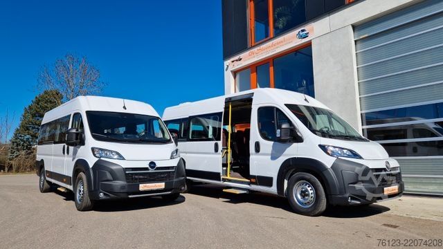 Minibus FIAT 1x Ducato 1x  Opel Movano 18 SS  in Stock