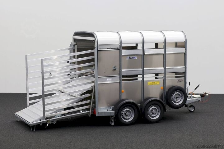 Reboque para gado Ifor Williams TA5 | 8x6 | DOPPELSTOCK 241X156X183CM VIEHANHÄNGER | 2X LÜFTUNG