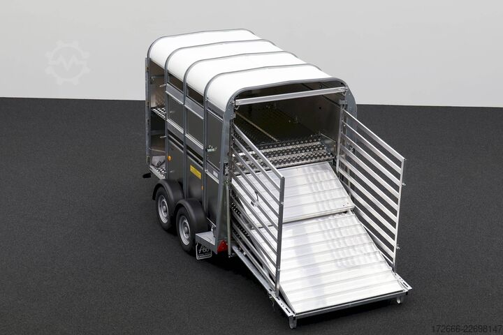 Reboque para gado Ifor Williams TA5 | 8x6 | DOPPELSTOCK 241X156X183CM VIEHANHÄNGER | 2X LÜFTUNG