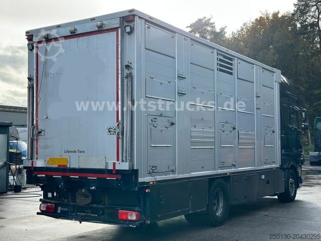 Cattle truck DAF XF 530 4x2 Finkl 2.Stock Viehaufbau