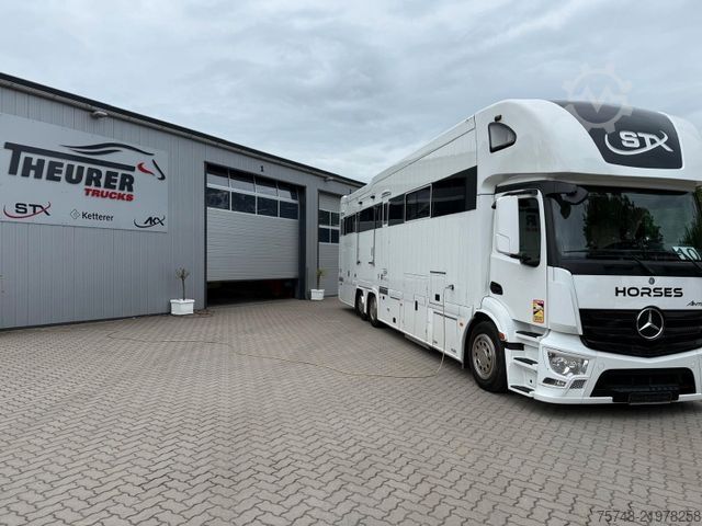 Samochód do przewozu bydła MERCEDES-BENZ ACTROS S  2640 STX  . POP-OUT,  6 Pferde