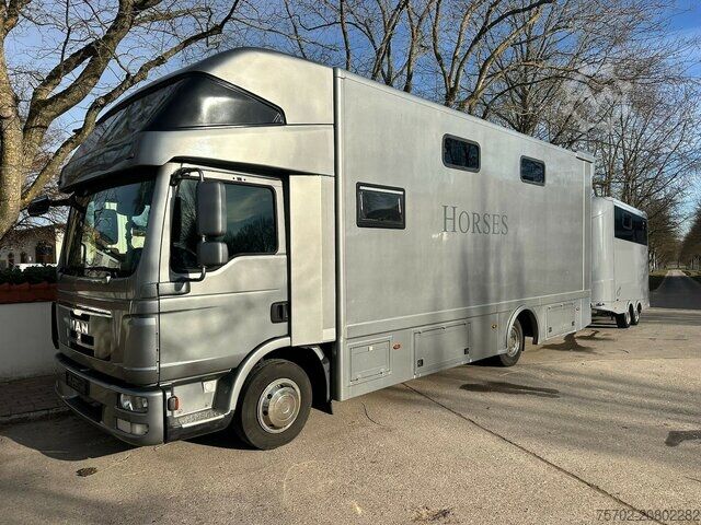 Livestock transporter MAN TGL 8150 3-4 Pferde Wohnmobilzulassung