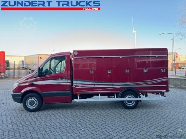 Reefer van Mercedes-Benz SPRINTER 313 VRIESWAGEN