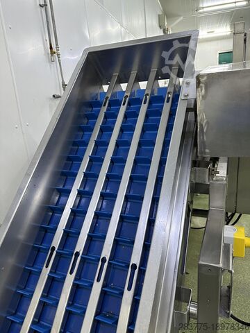 Champignonsnijder Lubbot Waker Mushroom Slicer Five lane Mushroom Slicer