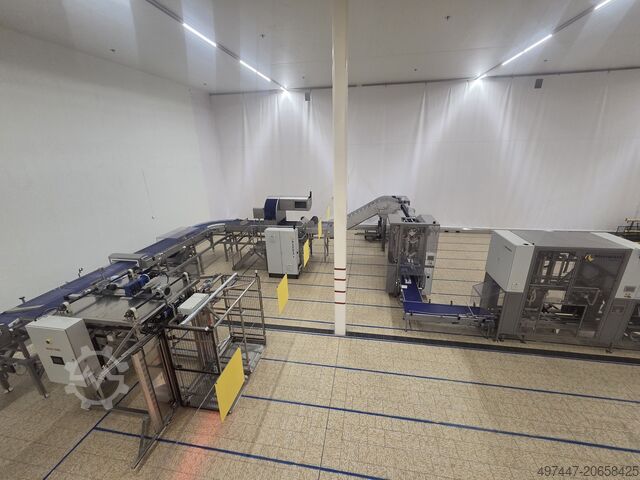 Linie automată de ambalare Niverplast Niverplast automatische verpakkings lijn