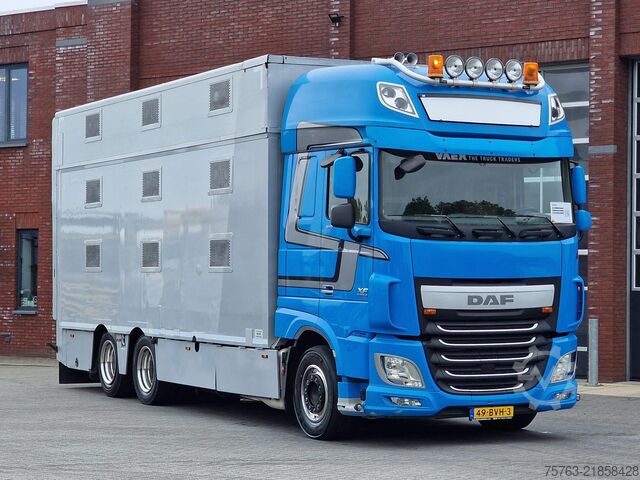 Cattle transport DAF XF 510 6x2 SuperSpaceCab - Livestock Cuppers 3 ...