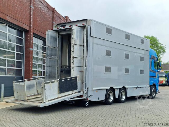 Cattle transport DAF XF 510 6x2 SuperSpaceCab - Livestock Cuppers 3 ...