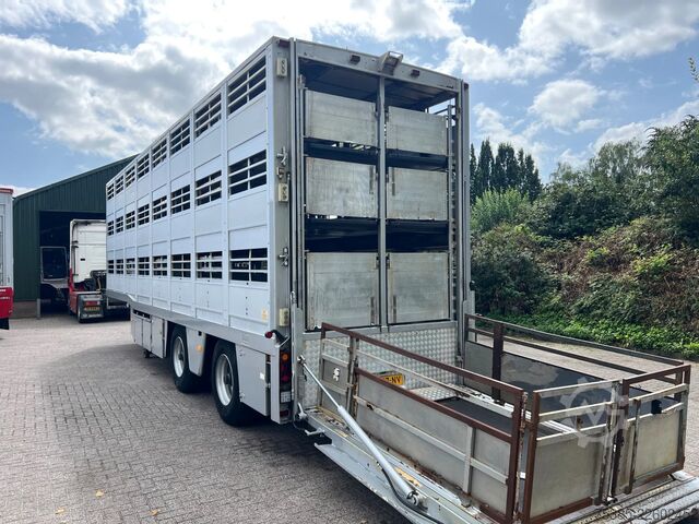 Transporte de gado Berdex TO 180 S Berdex Veewagen Livestock Weeglift