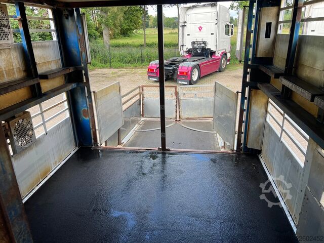 Transporte de gado Berdex TO 180 S Berdex Veewagen Livestock Weeglift