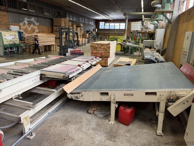 Raimann Çoklu Dilme Testere Tipi KS 310 BV Raimann (Weinig) KS 310 BV