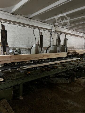 Segheria completa ÜSTÜNKARLI Carriage Bandsaw Edger