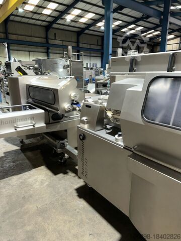 Automatyczna linia do łączenia kiełbas z automatycznym załadunkiem tacek. Handtmann VF628, PVLS143, GM310 and ZB311