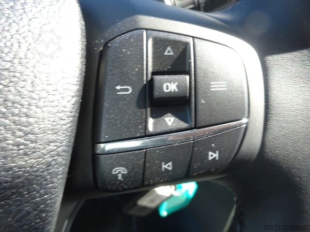 Minibús FORD Transit 350 L3H2 Trend KMP Rampe 2Klima Stndhz