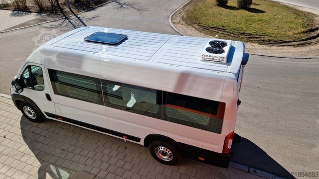 Kleinbus FIAT 1x Ducato 1x  Opel Movano 18 SS  in Stock