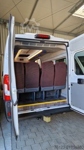 Kleinbus FIAT 1x Ducato 1x  Opel Movano 18 SS  in Stock