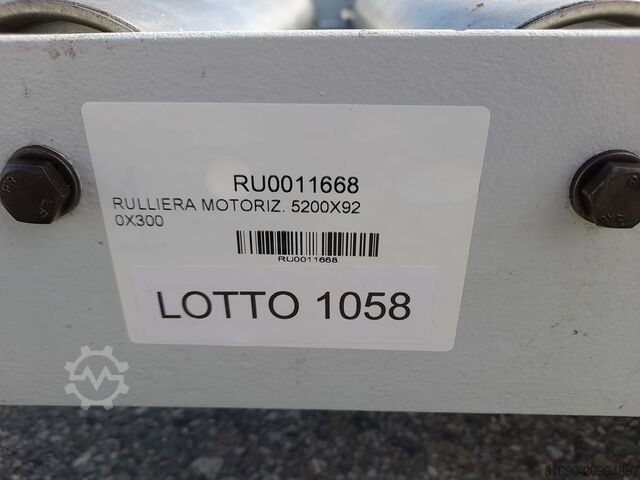 Angetriebene Rollenbahn 5200x920x300, Rolle L=900  