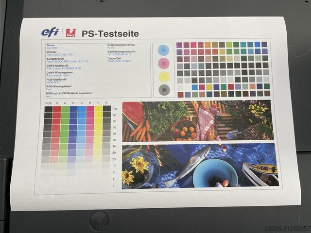 Digital print machine Develop Ineo+ 7090 incl. Fiery, Finisher, IQ-501