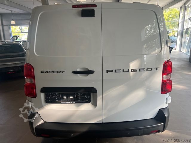 Panel van PEUGEOT Expert Kastenwagen Lang (L3) 2.0 BlueHDi 145 EAT