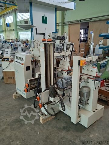 BÜRSTENSCHLEIFMASCHINE WOODLAND MACHINERY SD W4