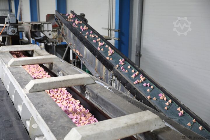 Máquina de acabado vibratorio Rösler R 550/6600 DA