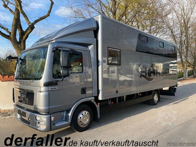 Cattle truck MAN TGL 8180 Gimmel 1-4 Pferde Wohnung