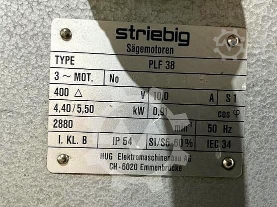 Vertikální desková pila Striebig Standard III TRK 6220 A, rok výroby 2001 Striebig Standard III TRK 6220 A