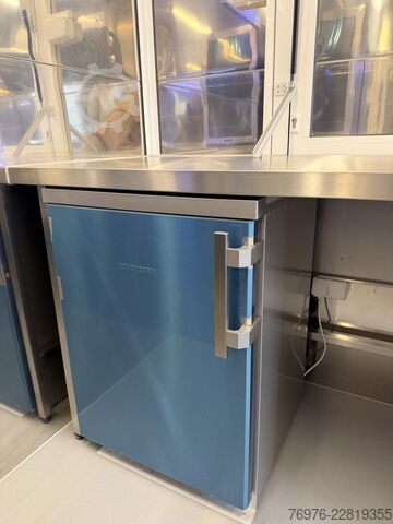 Magasin Mobile Renault Food Truck, Imbisswagen, NEU, REDUZIERT