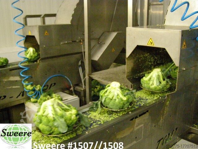 Broccoliprocesor Sweere Pop a Top Broccoli Floretter