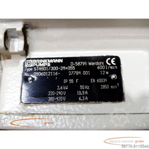 Brinkmann motor Brinkmann STA901/300-2M+055 Eintauchpumpe