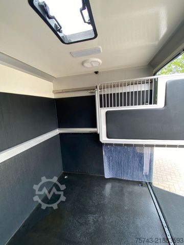 Állatszállító jármű RENAULT Master STX 5 Sitzer Haras ex. Lang Automatik