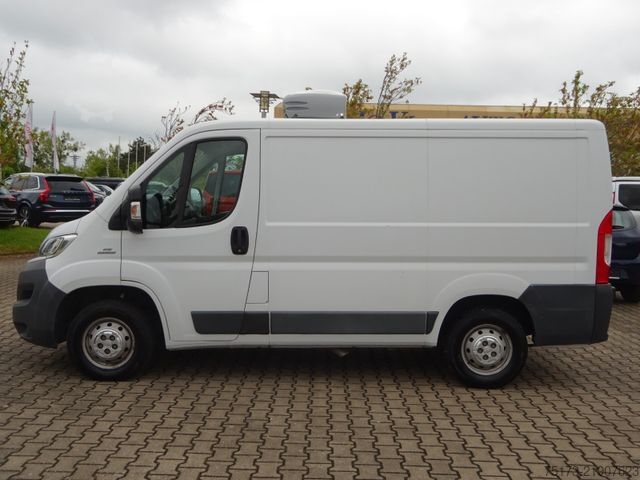 Furgone isotermico frigorifero FIAT Ducato 115PS Teifkühlkasten L1H1 Kamera
