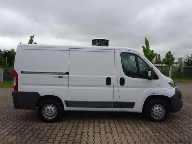 Furgone isotermico frigorifero FIAT Ducato 115PS Teifkühlkasten L1H1 Kamera