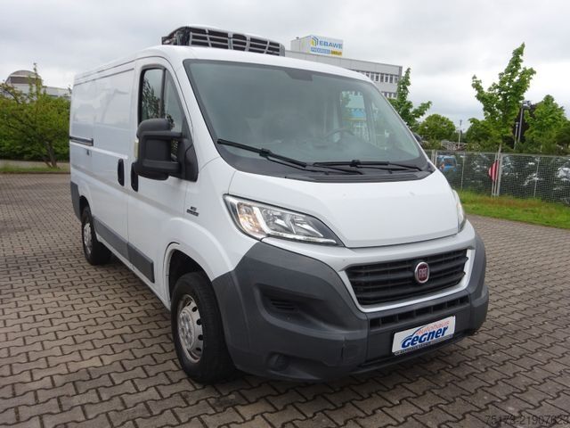 Furgone isotermico frigorifero FIAT Ducato 115PS Teifkühlkasten L1H1 Kamera
