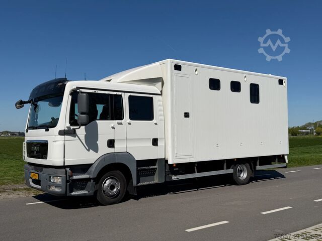 MAN TGL 12.180 φορτηγό μεταφοράς αλόγων MAN TGL 12.180 TGL 12.180 PAARDENWAGEN.