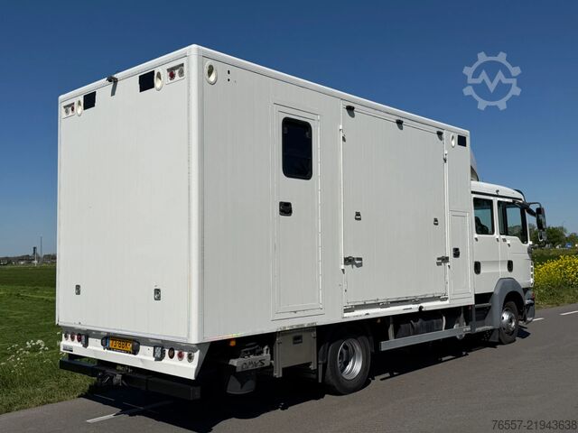 MAN TGL 12.180 φορτηγό μεταφοράς αλόγων MAN TGL 12.180 TGL 12.180 PAARDENWAGEN.