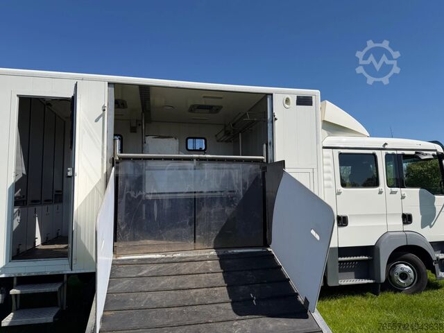 MAN TGL 12.180 φορτηγό μεταφοράς αλόγων MAN TGL 12.180 TGL 12.180 PAARDENWAGEN.