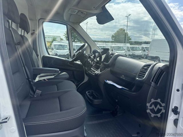 Panelvan Fiat Ducato