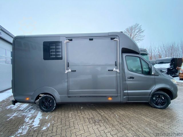 Veetransporter MERCEDES-BENZ STX Sprinter  GG 4,100KG  Haras Hengste