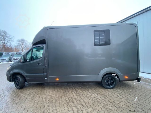 Veetransporter MERCEDES-BENZ STX Sprinter  GG 4,100KG  Haras Hengste
