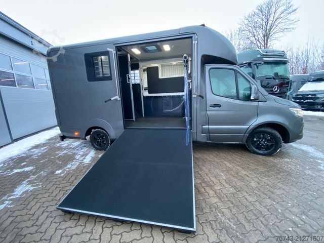 Veetransporter MERCEDES-BENZ STX Sprinter  GG 4,100KG  Haras Hengste
