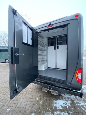 Veetransporter MERCEDES-BENZ STX Sprinter  GG 4,100KG  Haras Hengste