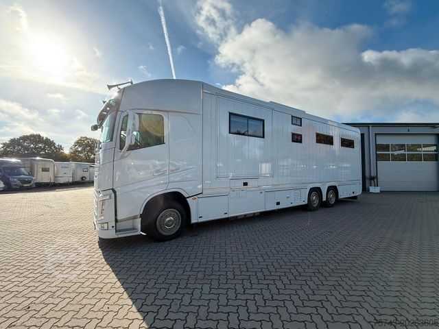 Kreaturvogn VOLVO FH 540 STX 6 Pferde Dop-POP-OUT, POP+UP NEW VOLL