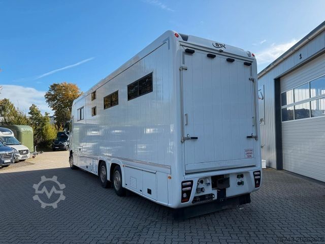 Boskapsbil VOLVO FH 540 STX 6 Pferde Dop-POP-OUT, POP+UP NEW VOLL