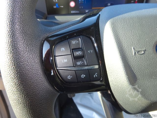 Panel van FORD Transit Custom Kasten 320 L2H1 LKW VA Trend AHK